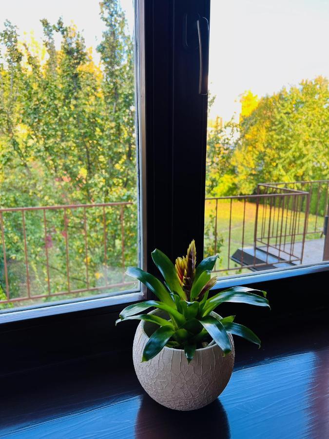 Penzion Villa Ancora Šumperk Quarto foto
